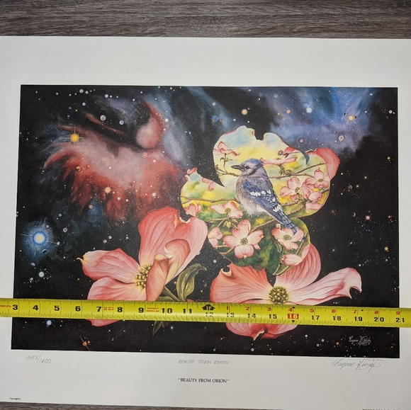 "Beauty from Orion" numbered print (certified) - Picture 6 of 8